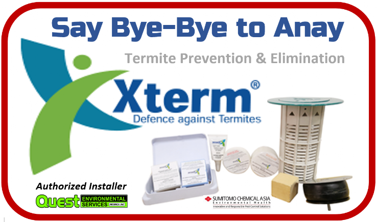 Xterm Termite Baing System